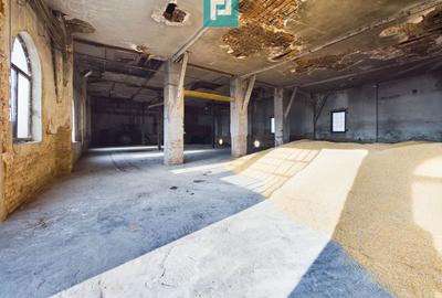 Teren construcție, în Periam - 15