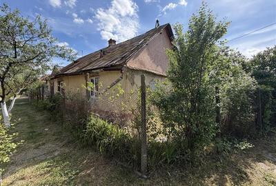 Casă cu 3 camere cu Teren 1230 Mp în Sălard - 9