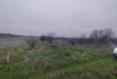 Teren extravilan Carcea - 2500 mp - 1