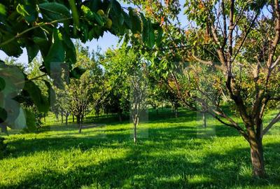 Casa individuala in apropiere de Cluj-Napoca si un teren gen - 2