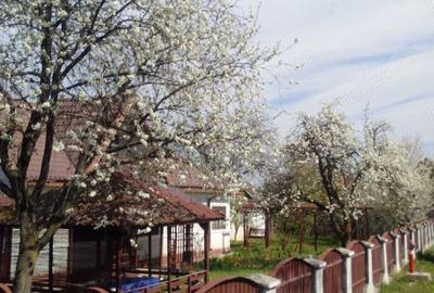 Casă cu 3 camere cu Teren 1000 Mp în Central