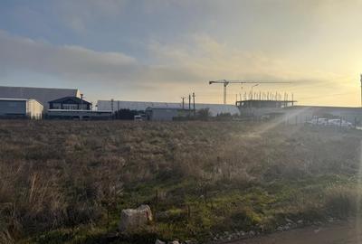 Teren Construcții intravilan de 3000 mp, în Cârcea - 2