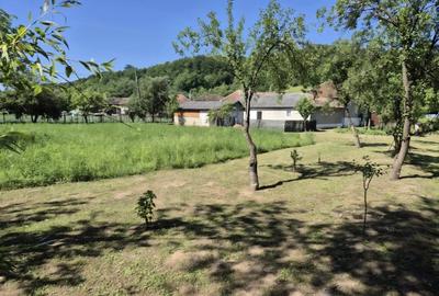 Vind casa in judetul Bihor Luncasprie - 7