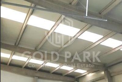 Spatiu Industrial - Baciu - Parc Logistic in Curs de Construire - 3