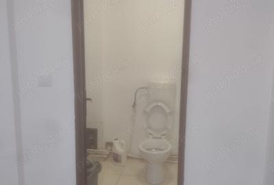 Spa?iu comercial de inchiriat in intersec?ia Delfinariu - 4