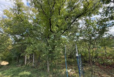 Teren de 400 mp, în Central