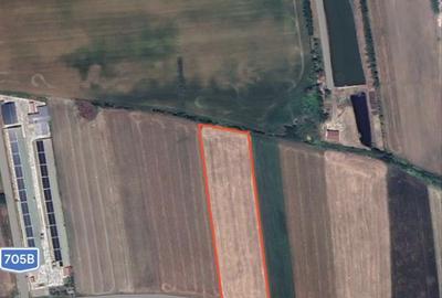 Teren de 10693 mp, în Pianu - 1