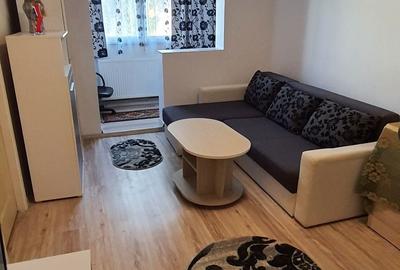 Apartament cu 2 camere semidecomandat în Valea Muscelului - 4