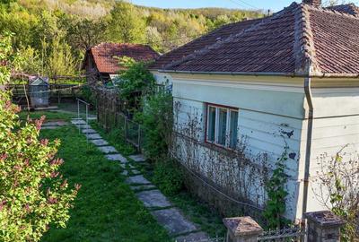 Casă cu 4 camere în Burjuc - 1
