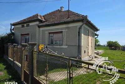Casă cu 3 camere decomandat cu Teren 1600 Mp în Burdea - 13
