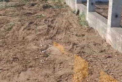 Teren de 2100 mp, în Dumbrava (Răchitoasa) - 5
