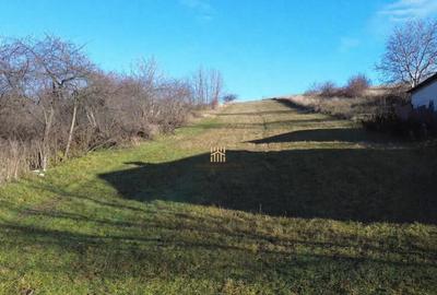 Teren Intravilan 2460 mp Suceava De 0727817187 - 9