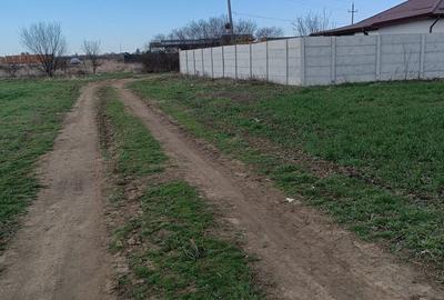 Teren de 5000 mp, în Săbăreni - 3