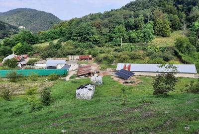 Casă cu 6 camere cu Teren 12500 Mp în Copăcelu - 2