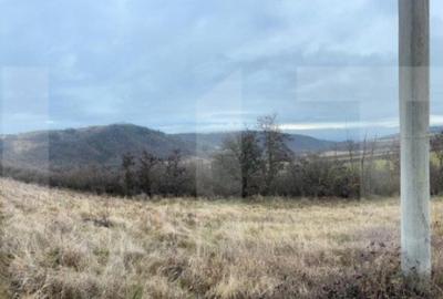 Teren extravilan 4300 mp, zona Criseni - Paclisa - 3