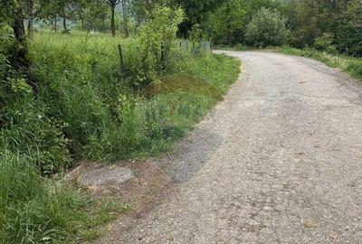 Teren 2,000mp Copalnic-Manastur / Strada Principala - 7