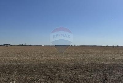 Teren Construcții intravilan de 12464 mp, în Nord-Vest - 3