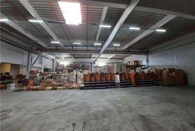 Spatiu Industrial - 2000 mp - Logistica - Depozitare - Distributie - 8