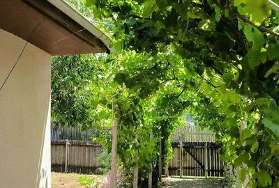 Casă cu Teren 2000 Mp în Central - 2