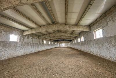 Spațiu industrial, de 800 mp, în Sud-Est - 2