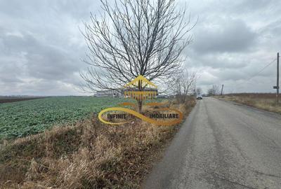 Teren industrial de vanzare in Bacau zona RAR - 2