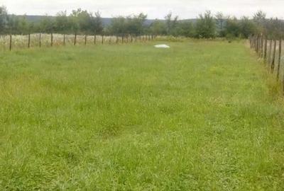 Teren de 2200 mp, în Colibași - 2