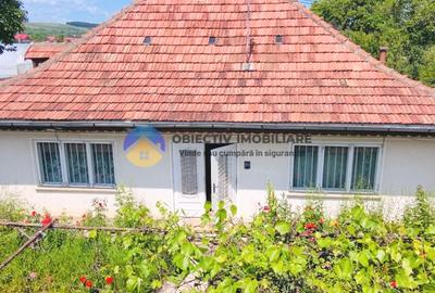 Casa traditionala Bodesti - 1