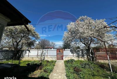 Casă cu 3 camere cu Teren 1000 Mp în Răcari - 15