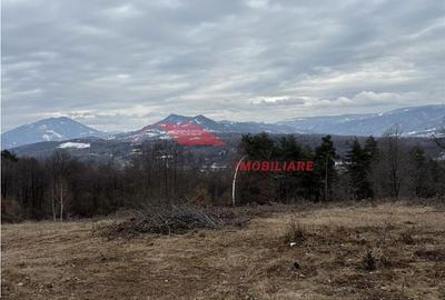 Spațiu comercial, în Prundu Bârgăului - 4