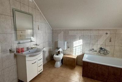 Casa cu destinatii multiple, 8900 mp teren, Vatra Moldovitei - 7
