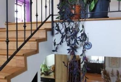 Corbeanca Lac Vila P 1, poton, teren 1500mp - 18