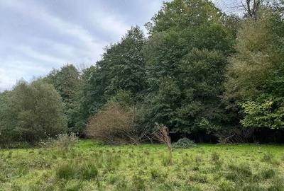 Casă cu Teren 20000 Mp în Vârfurile - 5