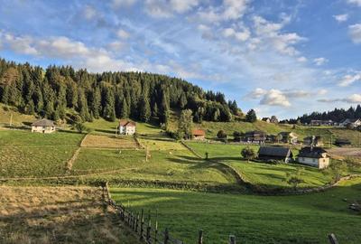 Teren intravilan de vânzare Fundata - 3