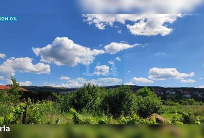 Spațiu comercial, în Borhanci