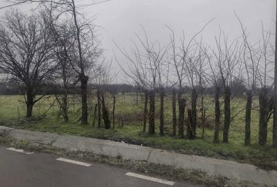 Teren de 2205 mp, în Cocora - 6