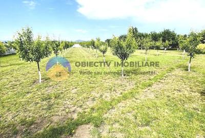 COMPLEX TURISTIC - GIROV  judetul NEAMT - 9