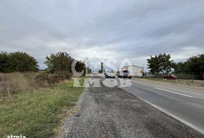 Teren de 15000 mp, în Centură - 8