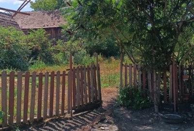 Casă individuală cu 4 camere cu Teren 2000 Mp în Alțina - 11