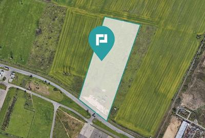 Teren de 55.340 mp, vis-a-vis de Jumbo, Arad - 4