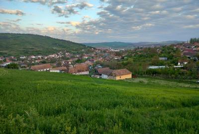Teren de 2983 mp, în Central - 2