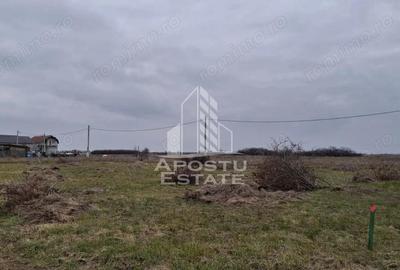 Teren de 500 mp, în Mândruloc