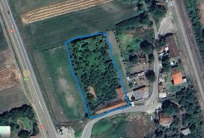 Teren intravilan de vanzare, Valisoara, judetul Caras Severin. - 1