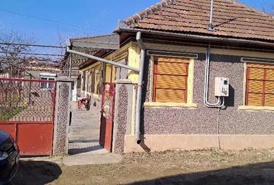 Casă cu Teren 700 Mp în Teiu - 2