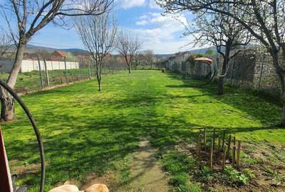 Casă cu Teren 890 Mp în Miniș - 2