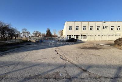 Complex industrial 30130 mp construit - Teren 42558 mp - 10