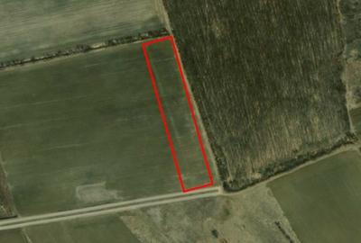 REL4000892 Corbeana - Ostratu 15200 mp langa padure - 7