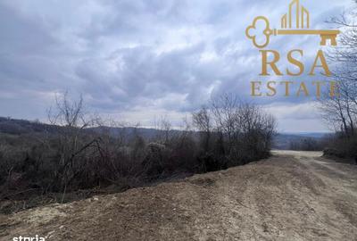 Teren de 2500 mp, în Goranu - 3