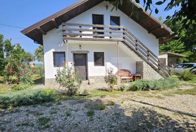 Casa individuala de vanzare in exclusivitate Tomsani - 17