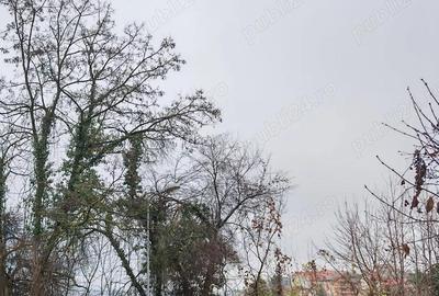 Teren de 400 mp, în Central