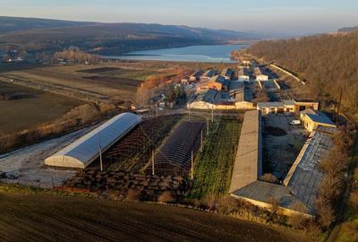 Fosta Ferma a Partidului  de la Horgesti - de vanzare - 13